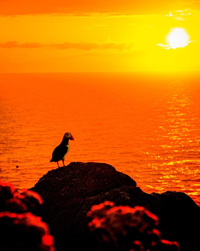 Photograph by Logeswaranathan Mohanaraj