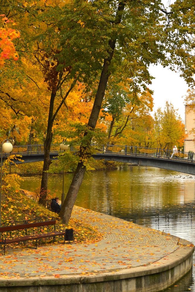 Photograph by Наталья Лапина