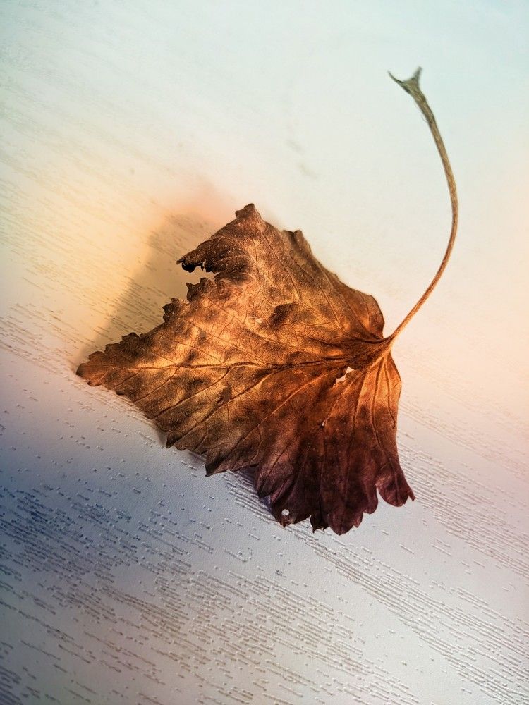 Photograph by Ведерникова Анна Андреевна