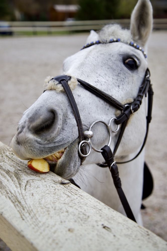 Photograph by Наталия Иванникова