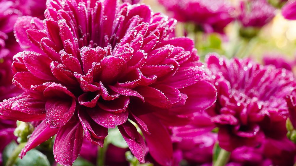 Фотография автора Вадим Коваленко