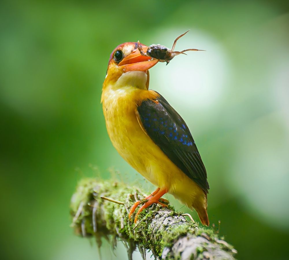 Photograph by Vishal Parmar