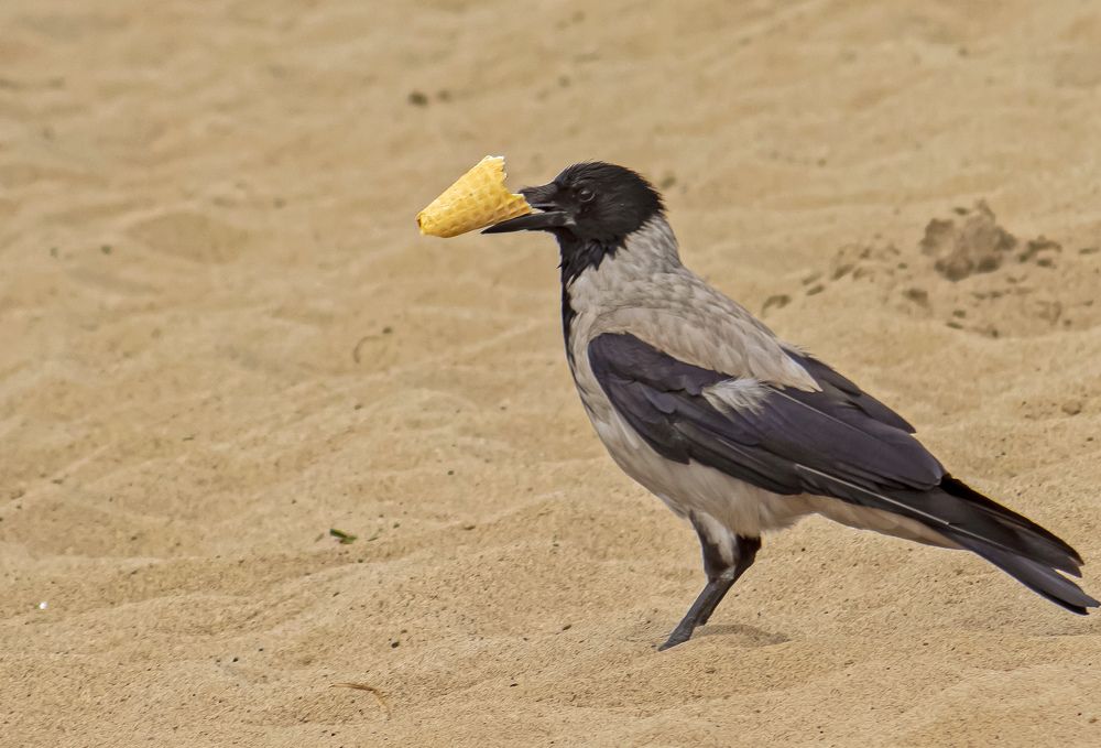 Photograph by Наталья Канарейкина