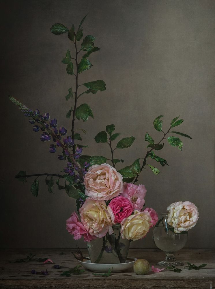 Фотография автора Анна Петина