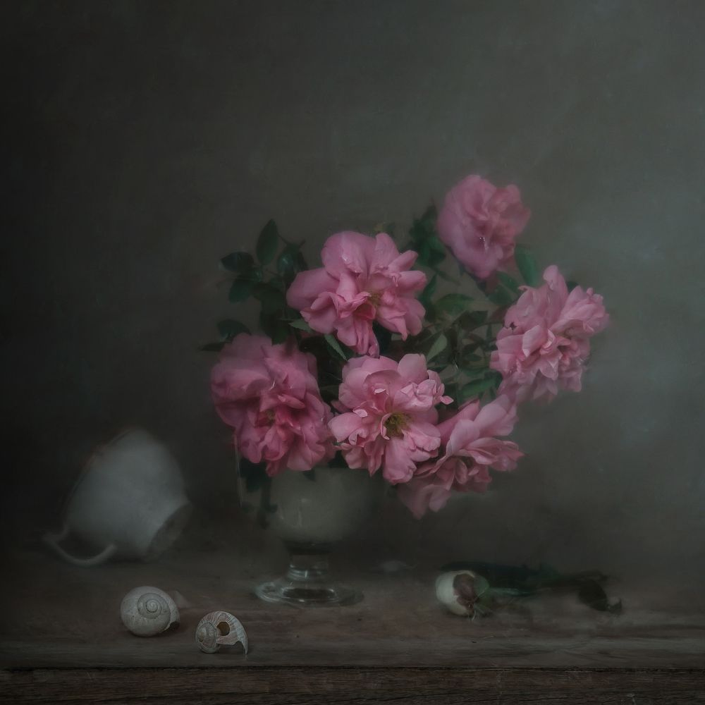 Фотография автора Анна Петина