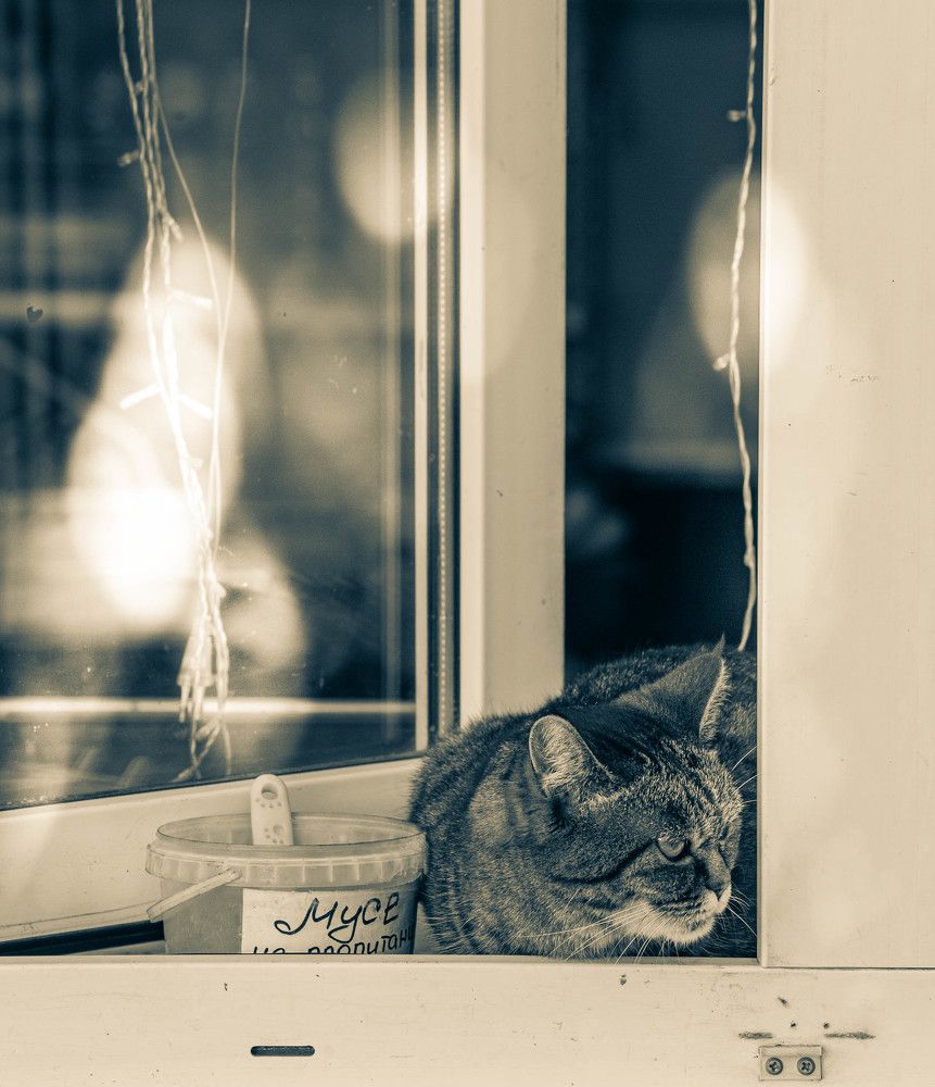 Photograph by Сергей Басов