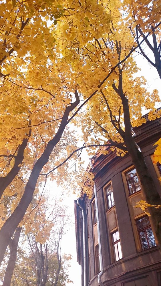 Фотография автора Егоров Максим