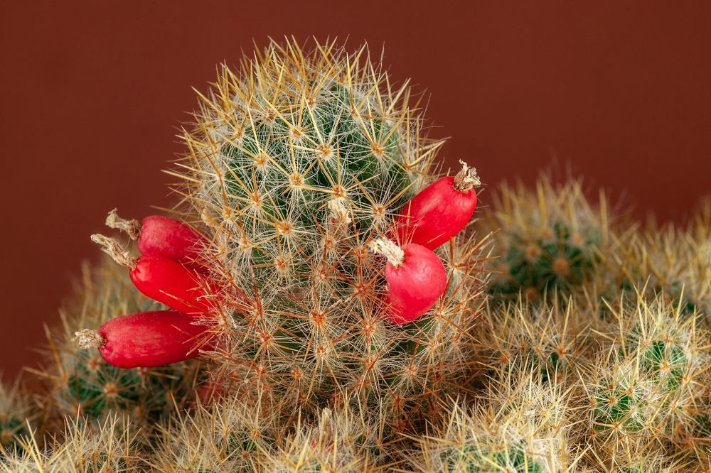 Фотография автора Валерий Елистратов