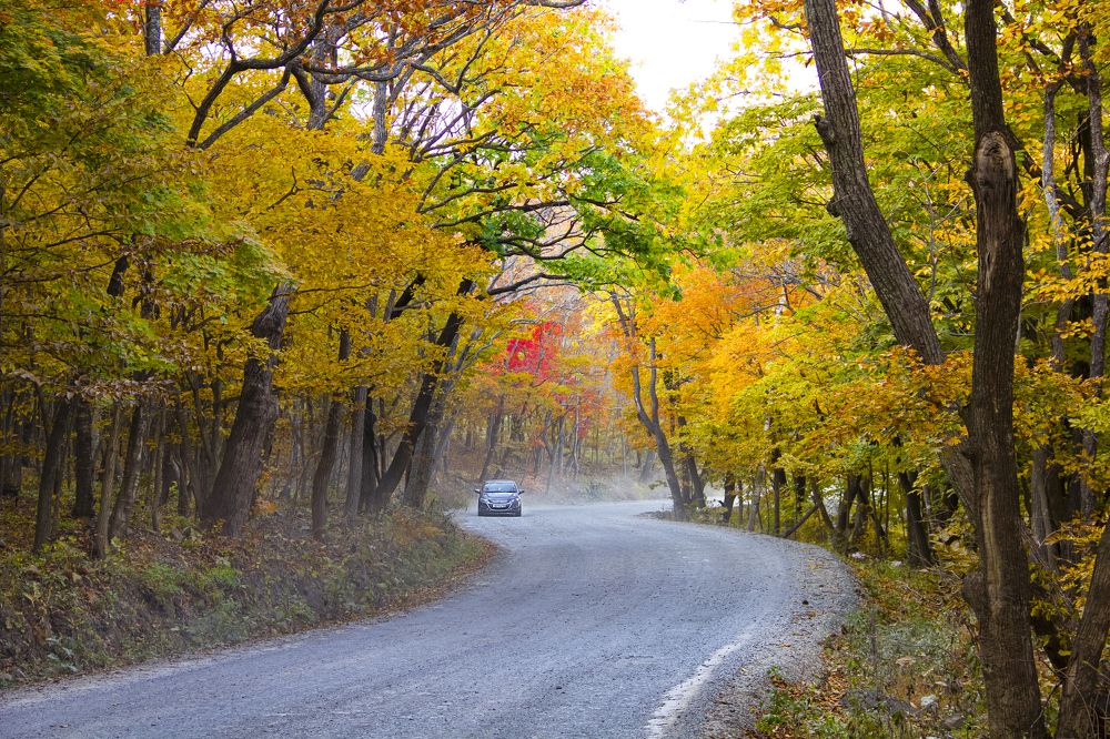 Photograph by Наталья Заровнева