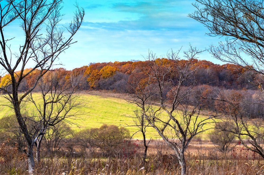 Photograph by Наталья Заровнева