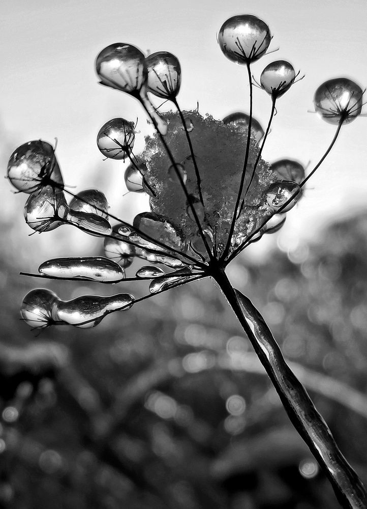 Photograph by Новикова Елена Сергеевна