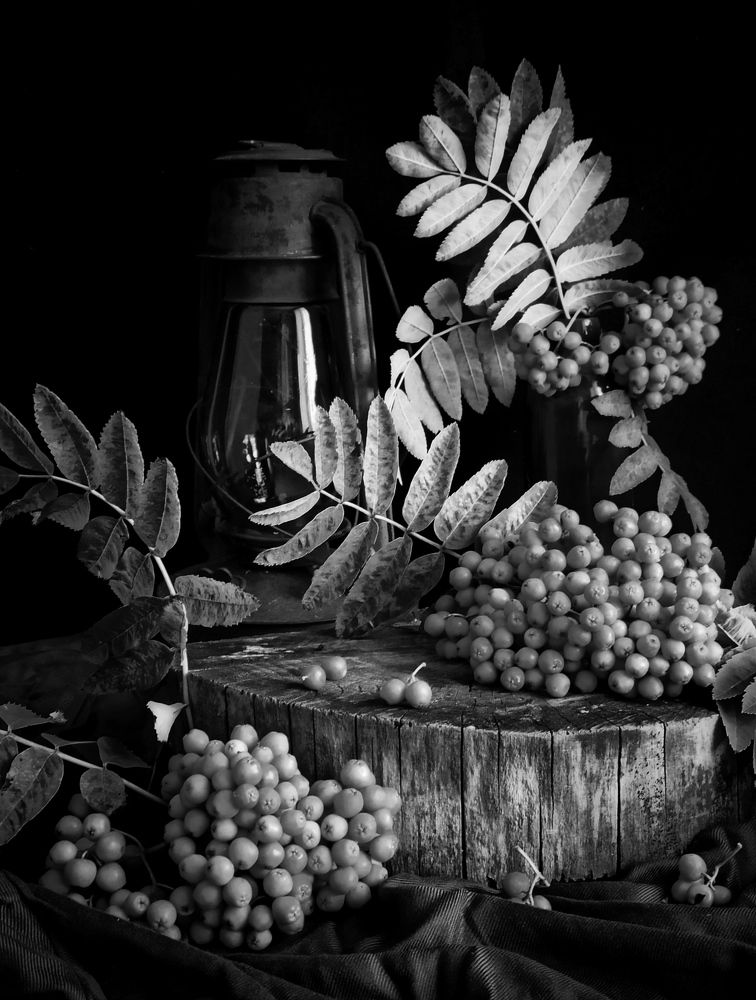 Photograph by Новикова Елена Сергеевна