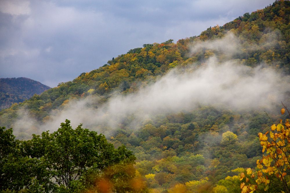 Дыхание осени