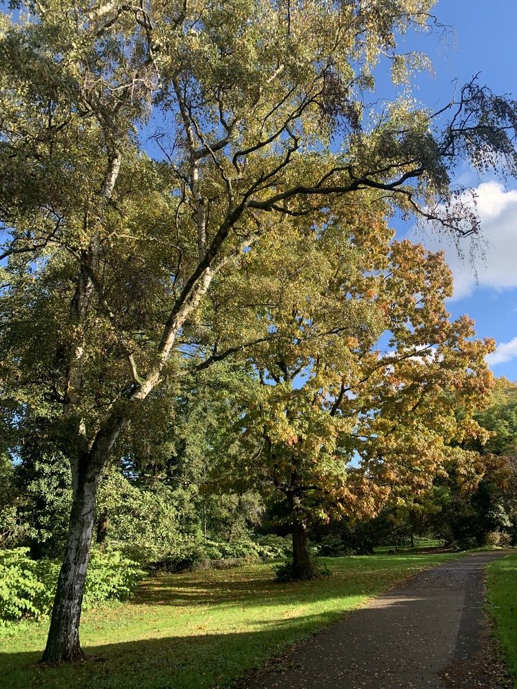 Photograph by Анастасия Мангольд