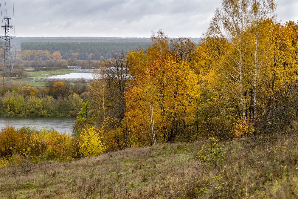 Photograph by Алексей Окунеев