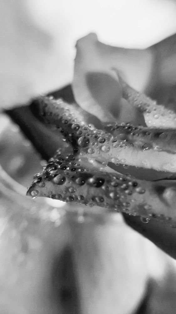 Photograph by Оксана Корепанова