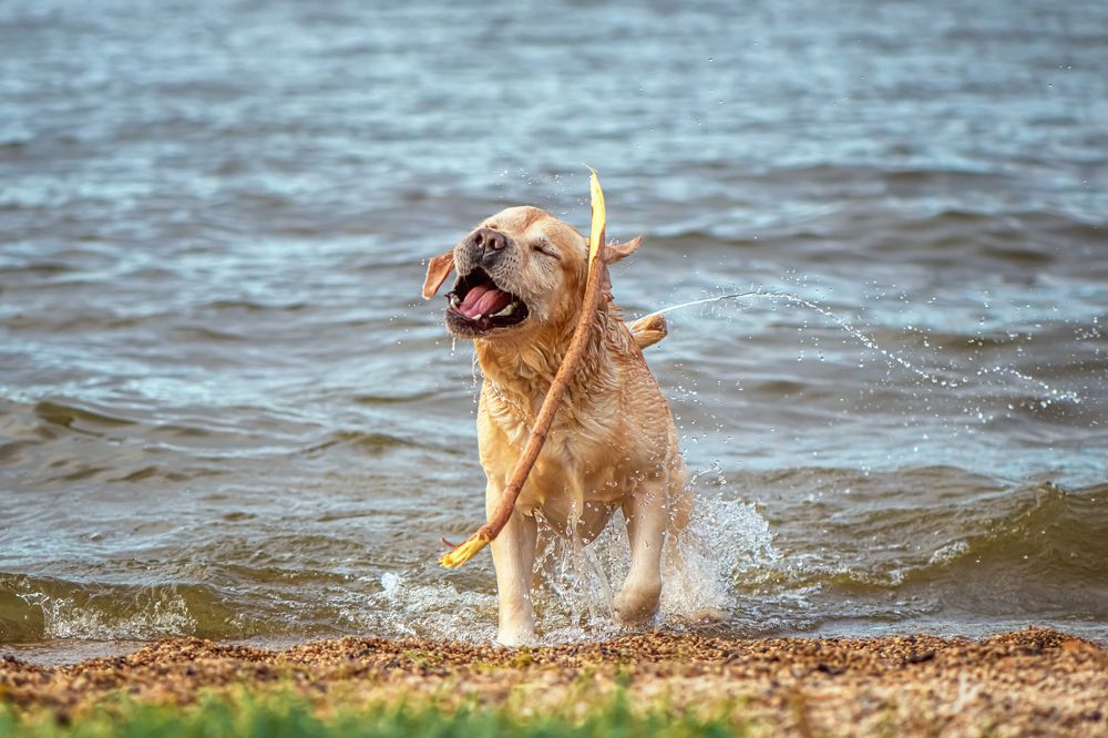 Photograph by Ольга Ильина