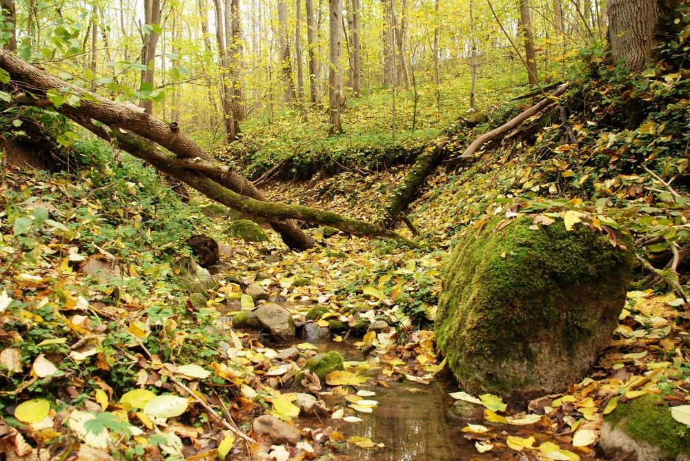 Фотография автора Linards Onzuls