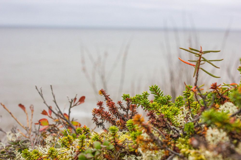Фотография автора Анастасия Красикова