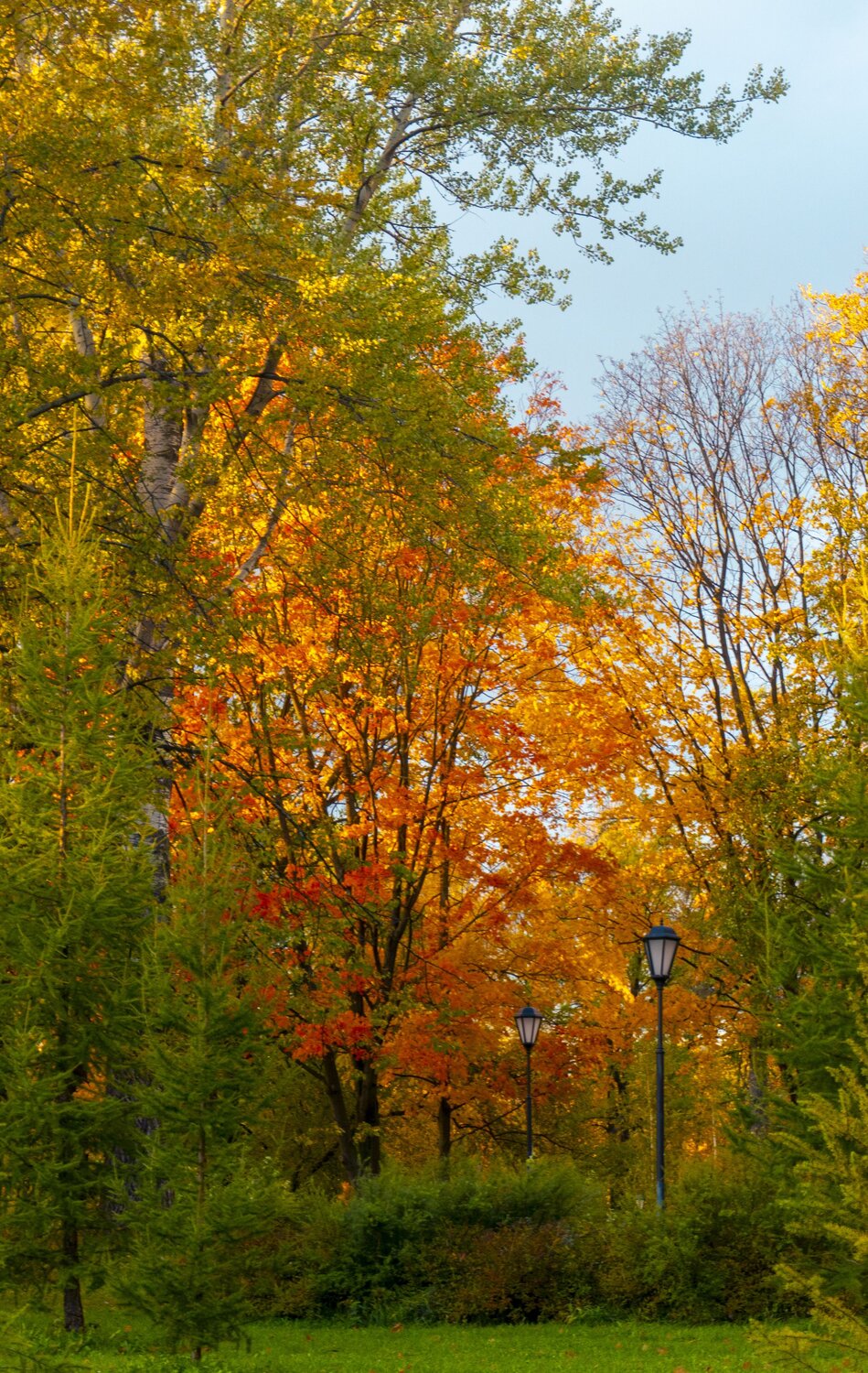 Photo #9724303