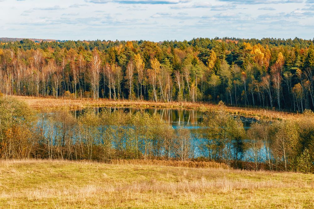 Фотография автора Юрий Киселёв