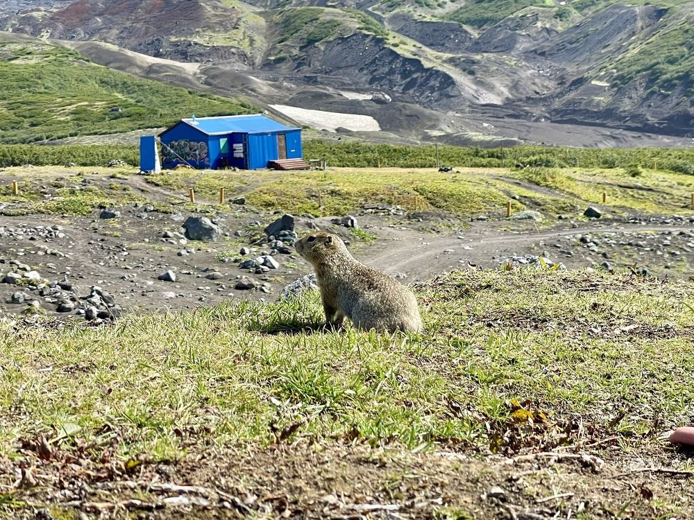 Photograph by Ольга Ильина