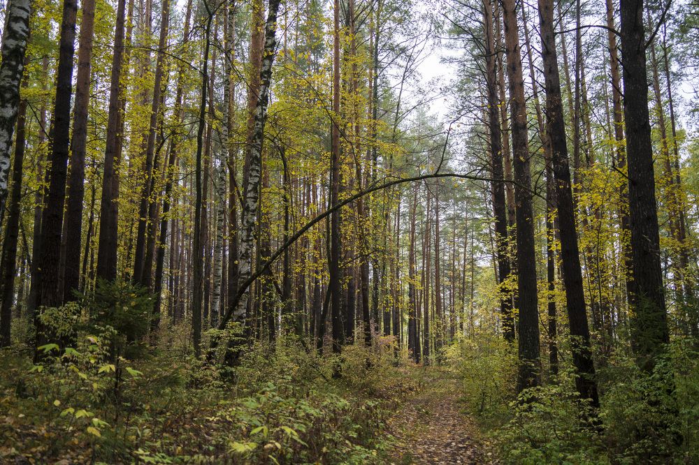 Photograph by косяк