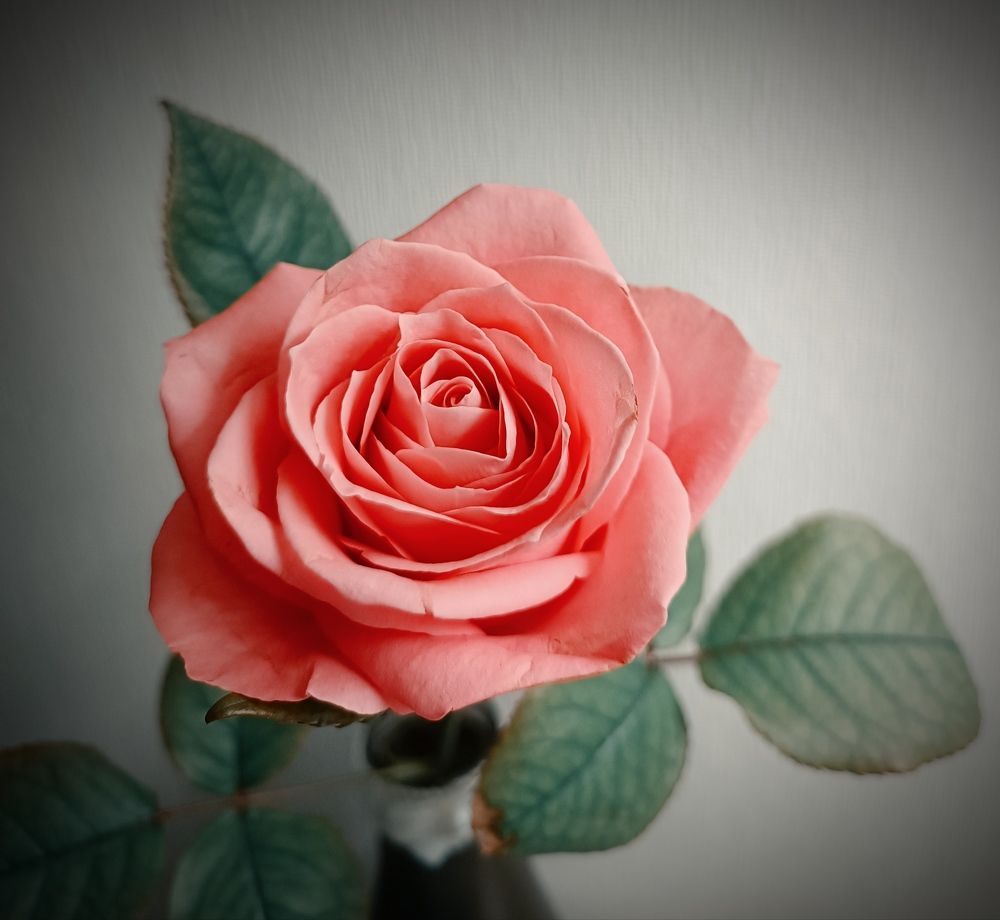 Photograph by Наталья Соколова