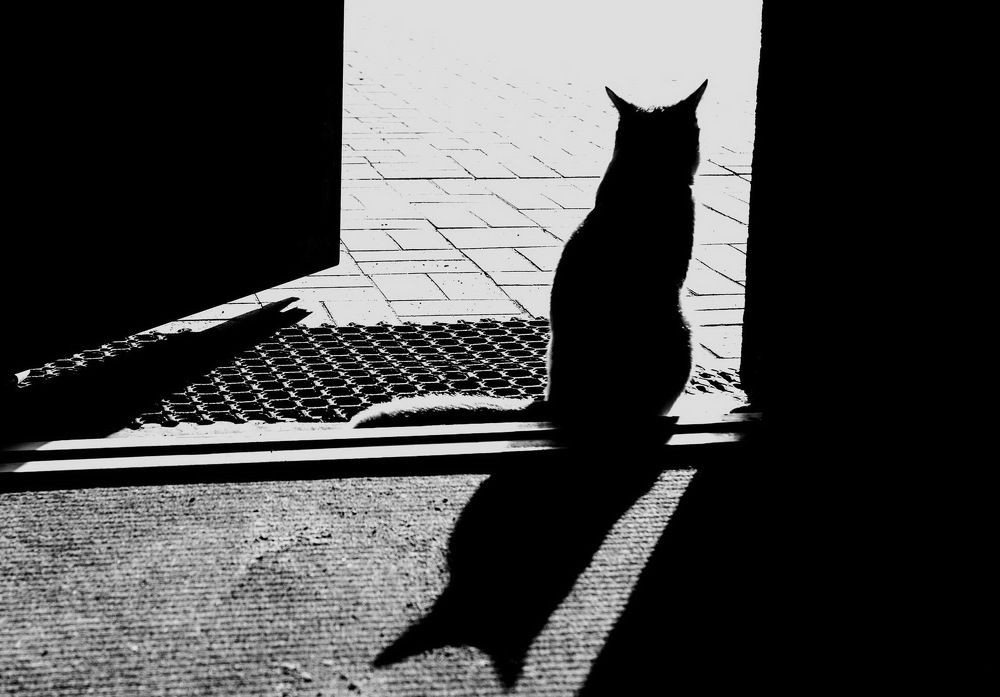 Photograph by Владимир Мошков