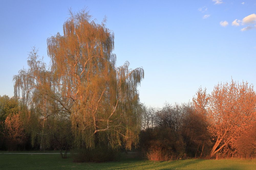 Закатные краски