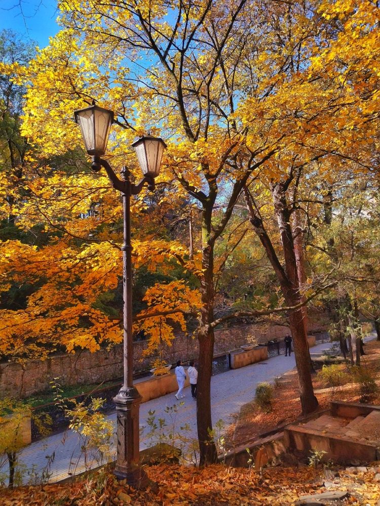 Photograph by Эльза Трисантович