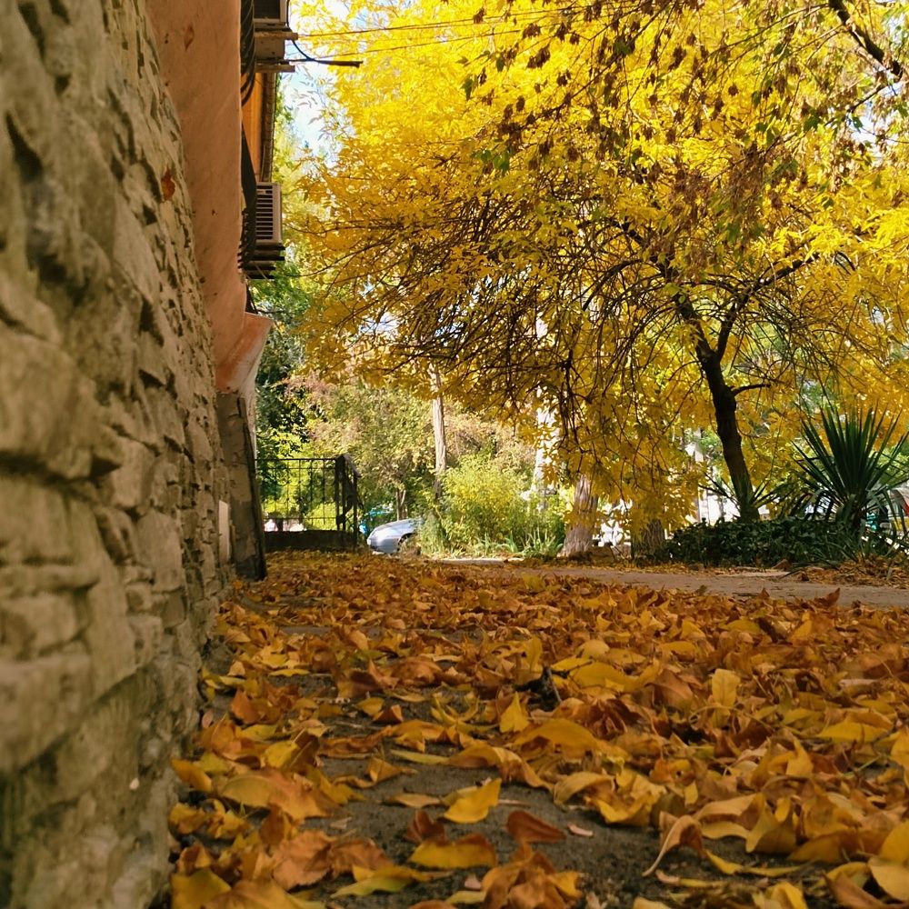 Photograph by Татьяна Стаскевич