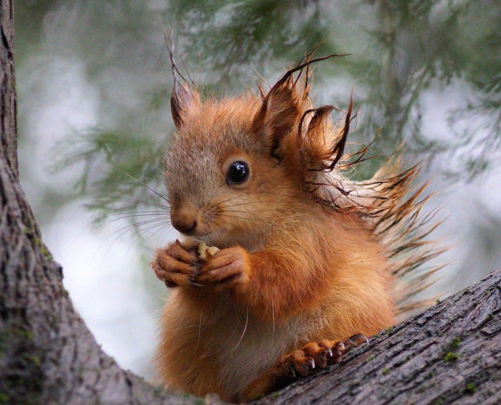 Photograph by Наталья Степаненко