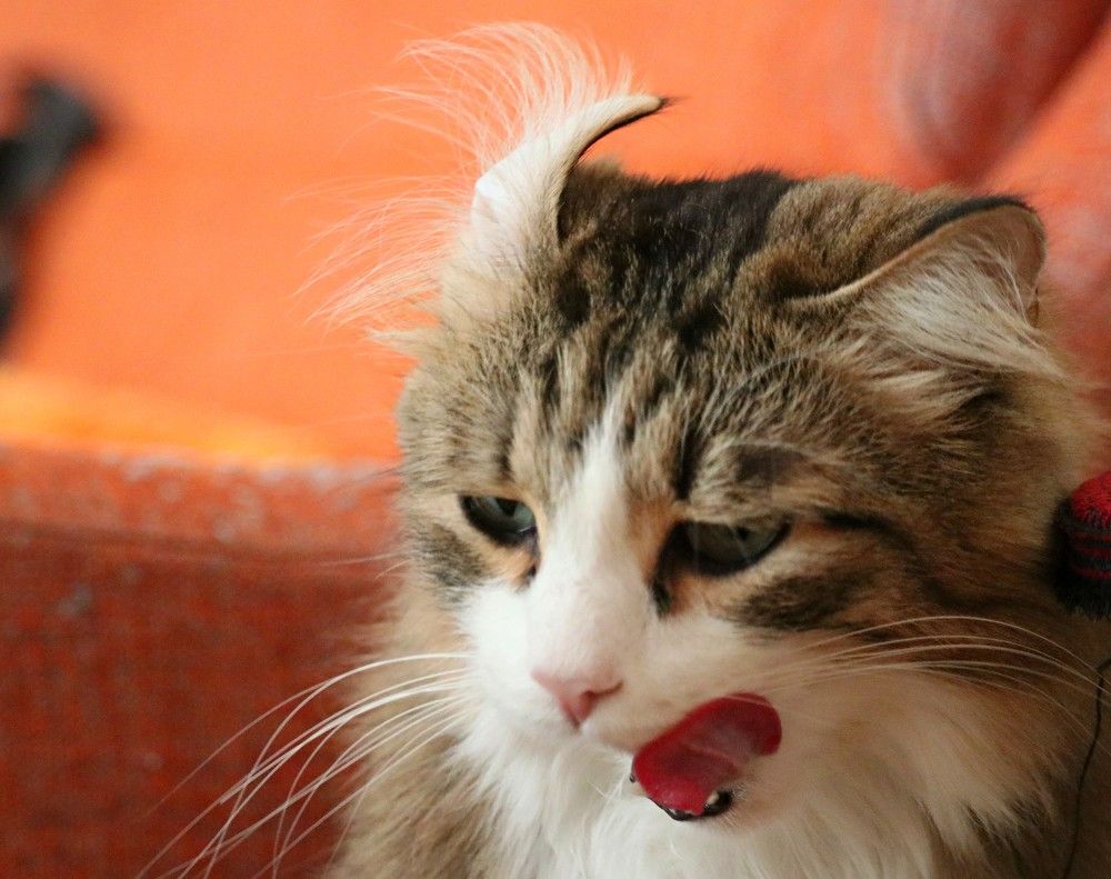 Photograph by Галина Мазур