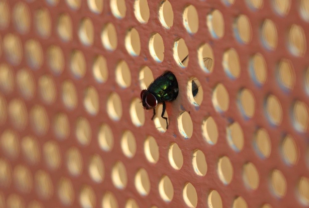 Только вперед!