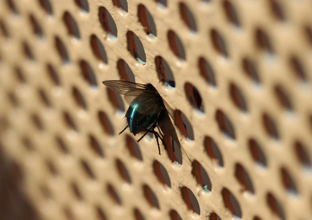 Photograph by Галина Мазур