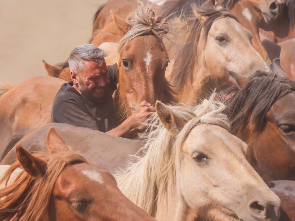 Photograph by Jose Antonio Novelle Cao