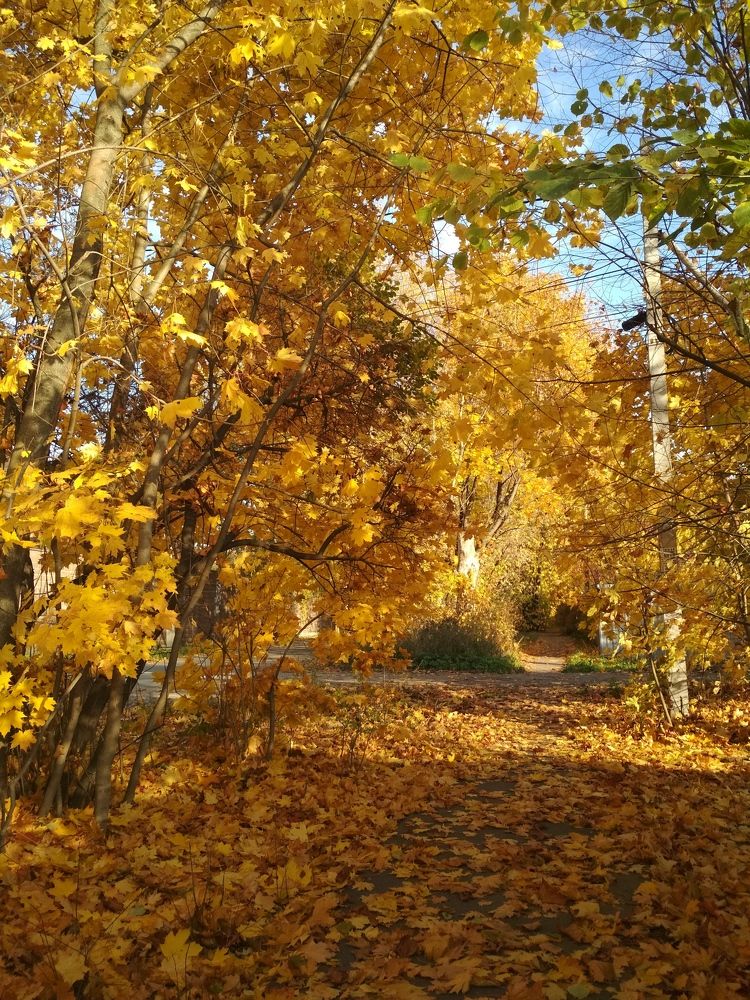 Photograph by Александр Иванов