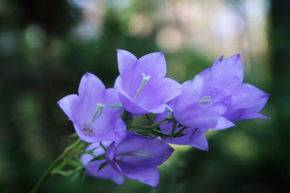 Photograph by Ирина Новицкая