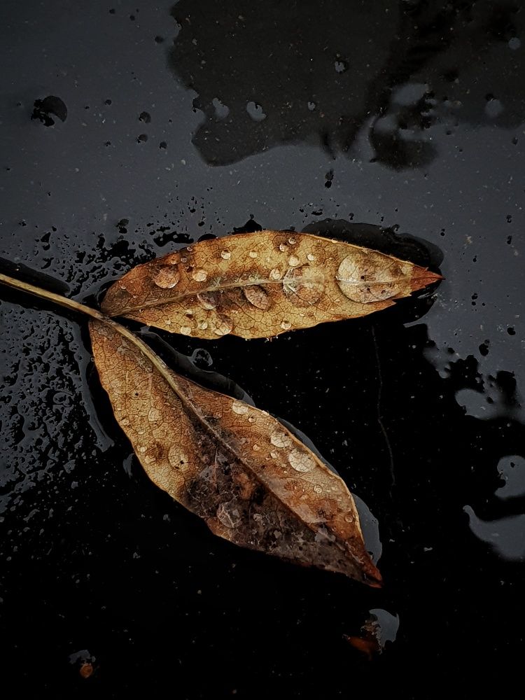 Photograph by Наталья Тиссен