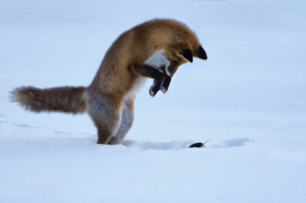 Photograph by Вероника Ливанова