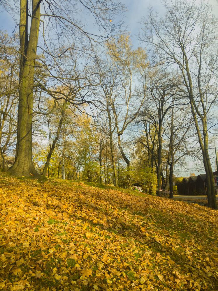 Photograph by Dariusz Gruszka