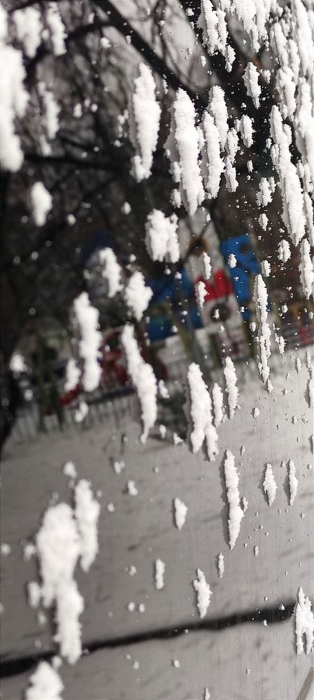 Фотография автора Васильева Ирина