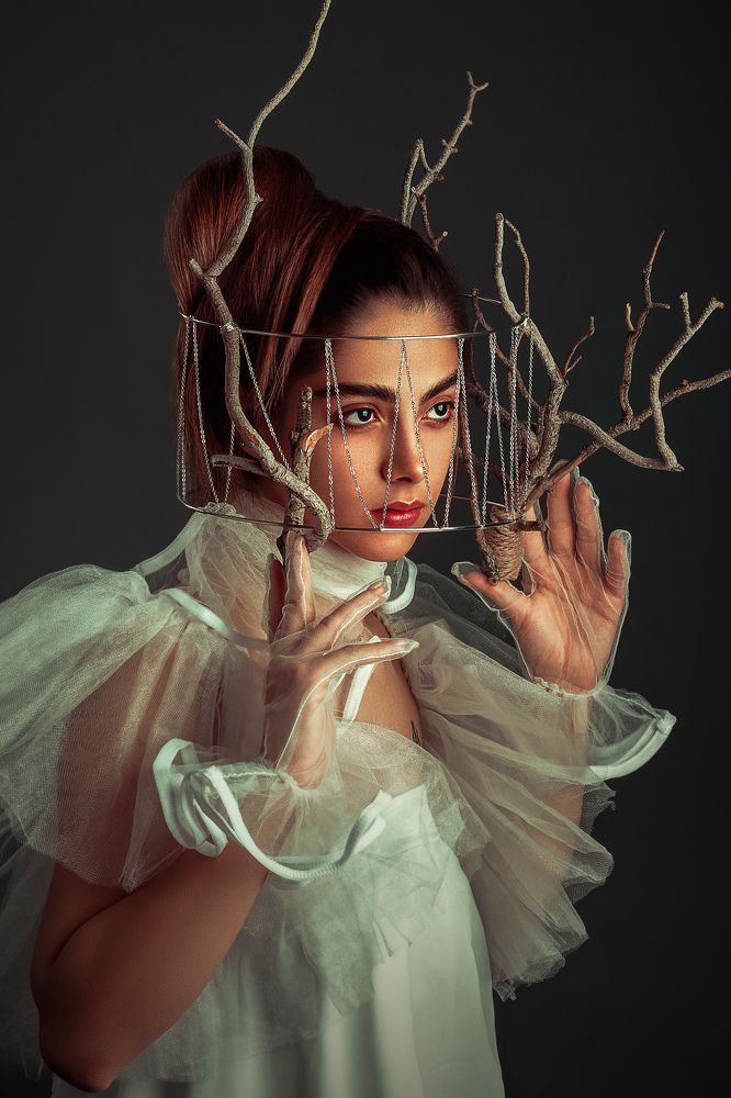 Фотография автора Mohammad hassan Taheri