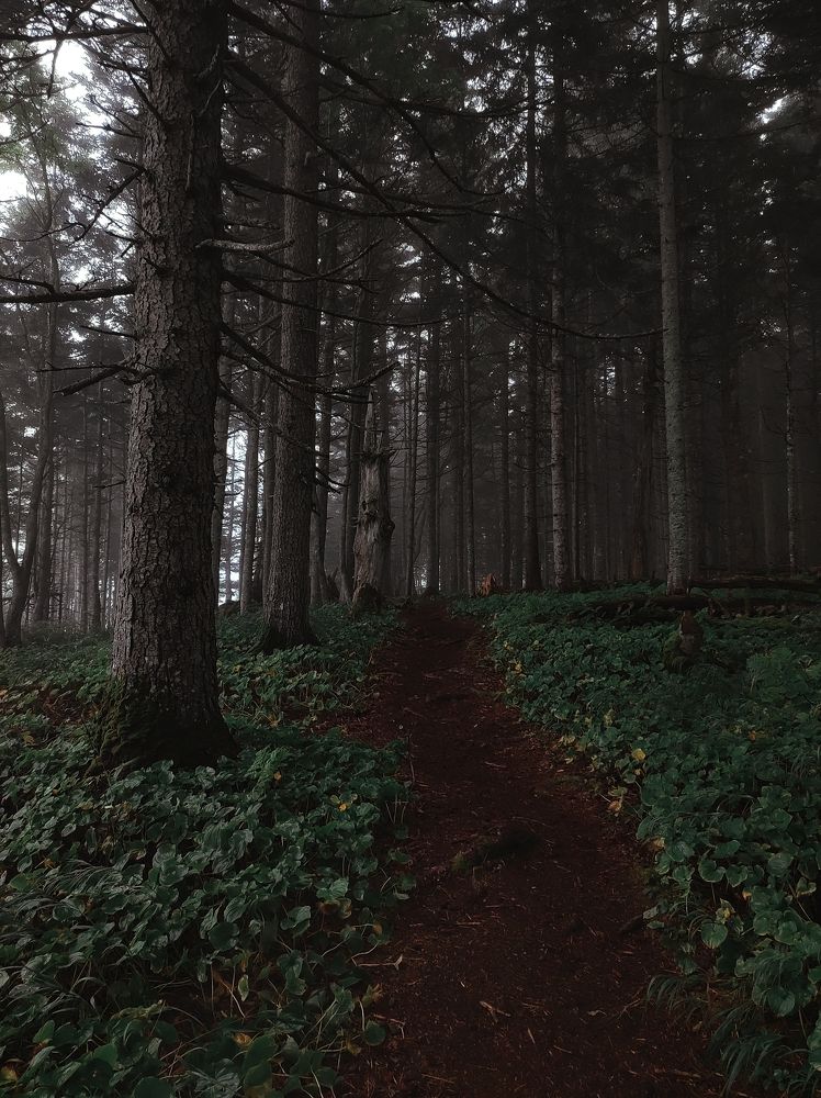 Photograph by Максим Савватеев