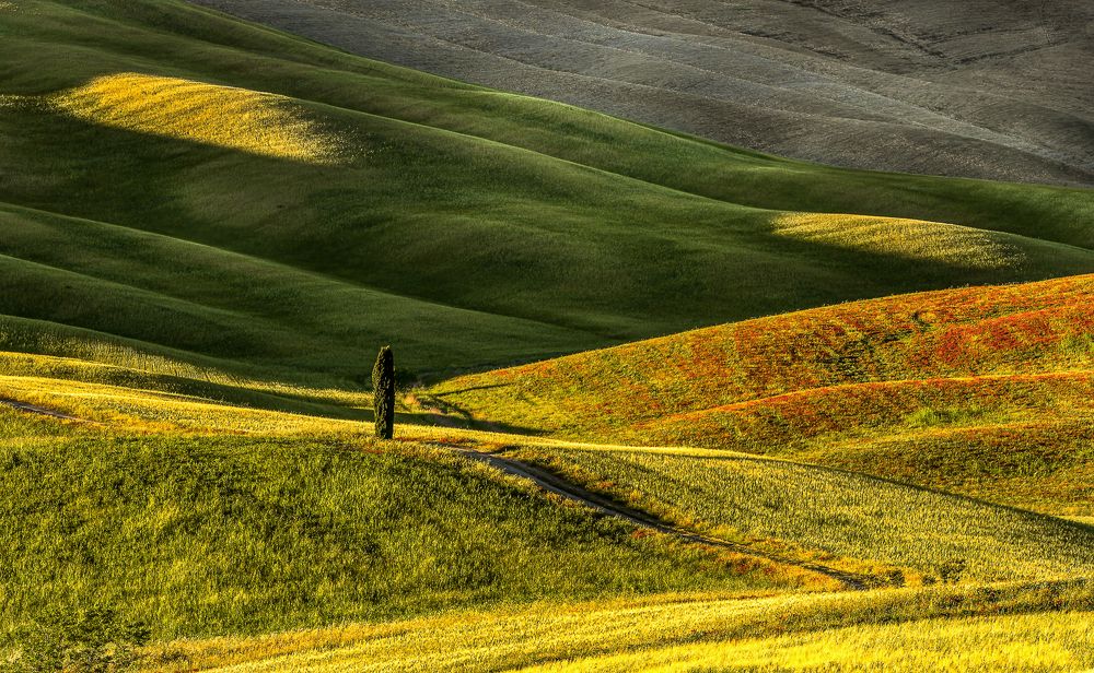 Spring in Val d'Orcia (2022)