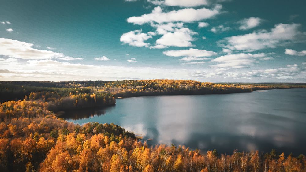 Photograph by Ольга Левакова