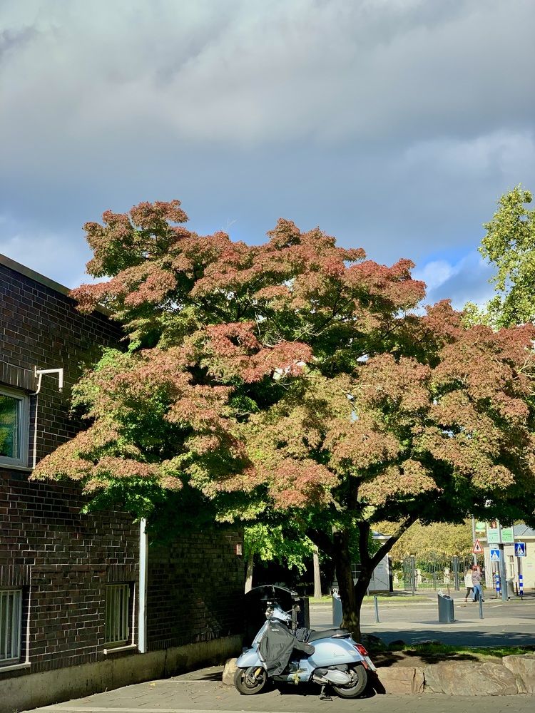 Photograph by Анастасия Мангольд