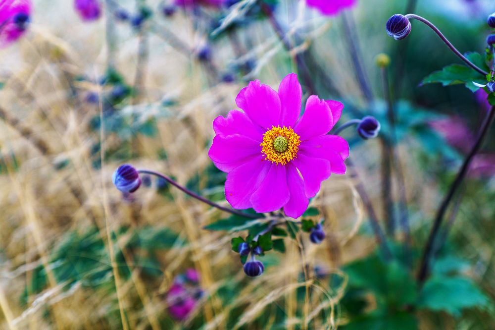 Photograph by Олег Бурыкин