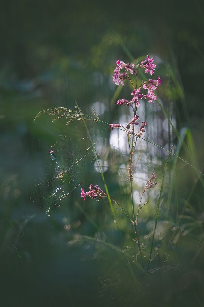 Photograph by Кузнецов Дмитрий